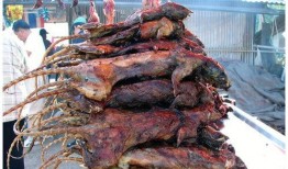 爆料碳烤大鹅视频下载安装,视频下载安装攻略，尽享美食之旅